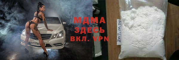 прущие грибы Алзамай