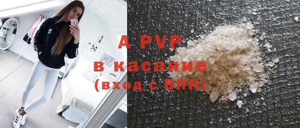 прущие грибы Алзамай