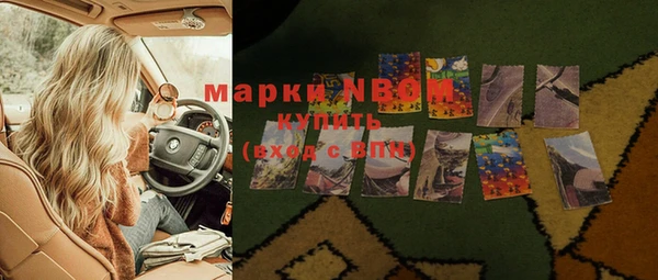прущие грибы Алзамай