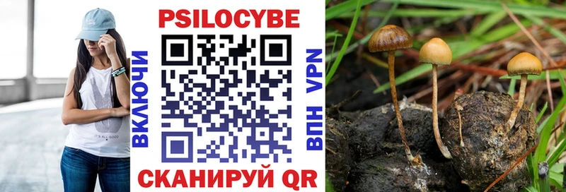 Псилоцибиновые грибы мицелий  Кимры 
