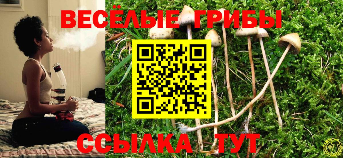 Кимры  Псилоцибиновые грибы прущие грибы  Вход с VPN  Галлюциногенные грибы мухоморы 