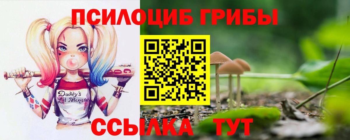Галлюциногенные грибы GOLDEN TEACHER Кимры